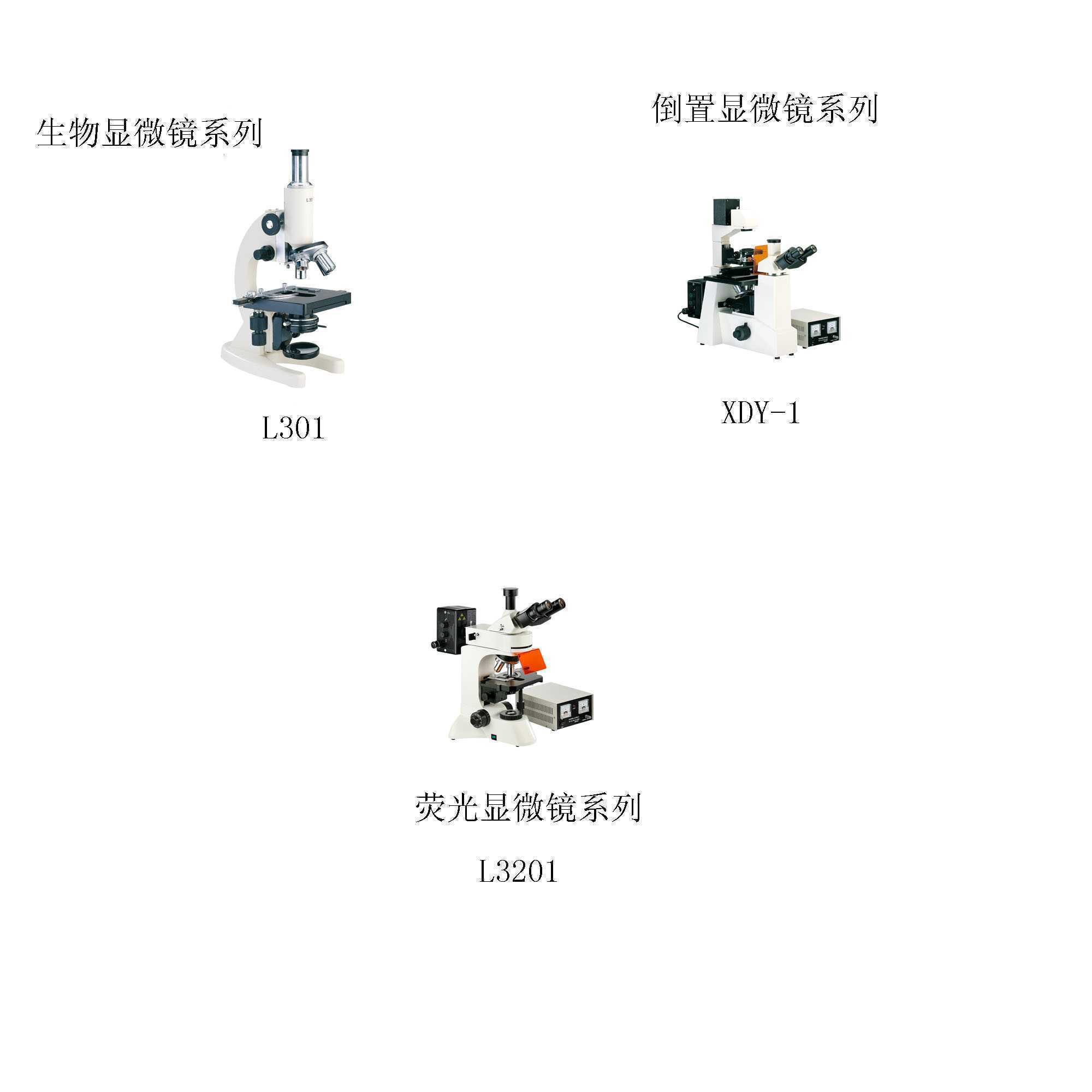 普通生物、倒置生物、荧光显微镜